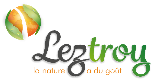 Logo leztroy 2018